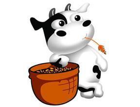 生肖牛：稳重踏实的情感积淀