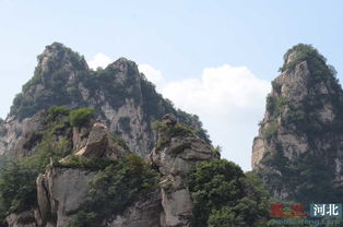 3. 优惠信息——到底有没有优惠？（随手写的）