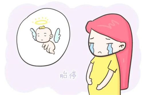 三、 科学视角下对“胎停婴灵报复”假说的批判性审视