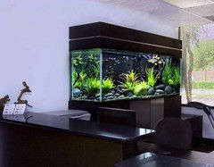 三、  忌财运外泄：不向大门与窗户