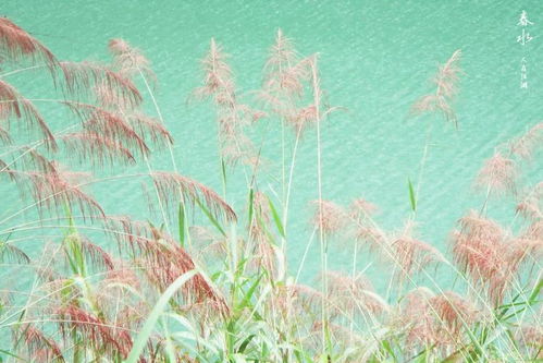 一、  壬水生于未月的命理特性与挑战