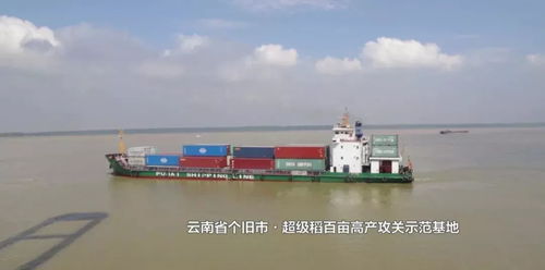 设施联通:加快基础设施互联互通建设,包括交通、 能源、通信等领域,打通瓶颈路段和薄弱环节,提高运输效率和物流服务水平。贸易畅……