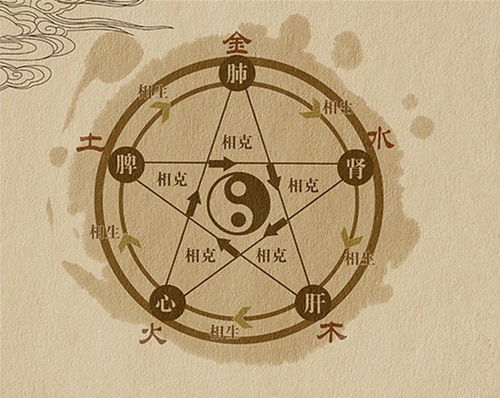 1998年属虎的人五行八字中金水喜用神，那这一年属水还是属金呢？