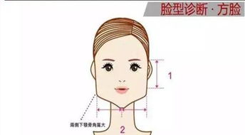 衬衫八字领口适合哪些脸型的人穿着更协调？