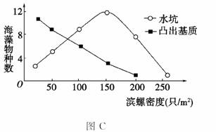 一、  种生基：传统风水中之异数