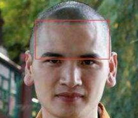 截筒鼻：理财高手的典范