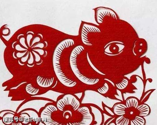 1983年属猪女性2026年运势详解，那她2026年的运势具体意味着什么？