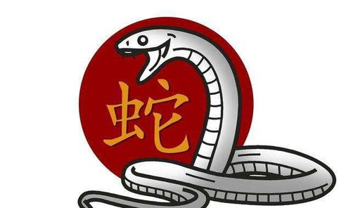 婚姻关系关系