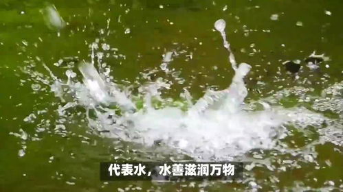 名字的寓意与象征意义