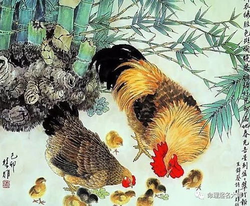 四、 随意拼凑：名字组合实验室（全程随机）