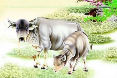 将坟墓属于什么生肖与埋葬者属什么生肖之间有何关联？