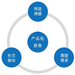 记忆消逝的机制解析