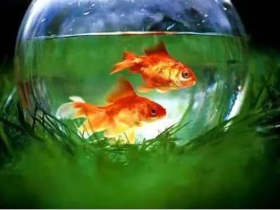 六条——金生水， 财源广进