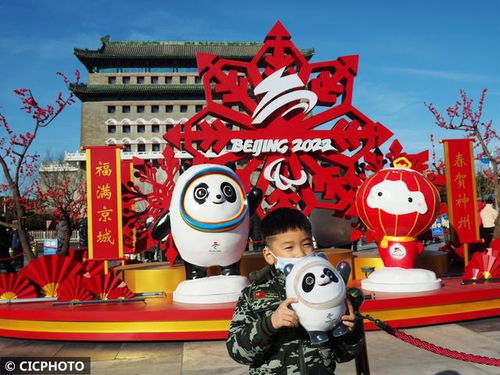 那些年被冰墩墩支配的恐惧