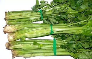 芹菜托梦：那些绿油油的迷之暗示