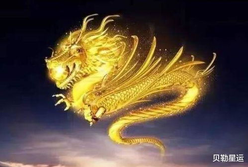 第二个贵人：属鼠的！