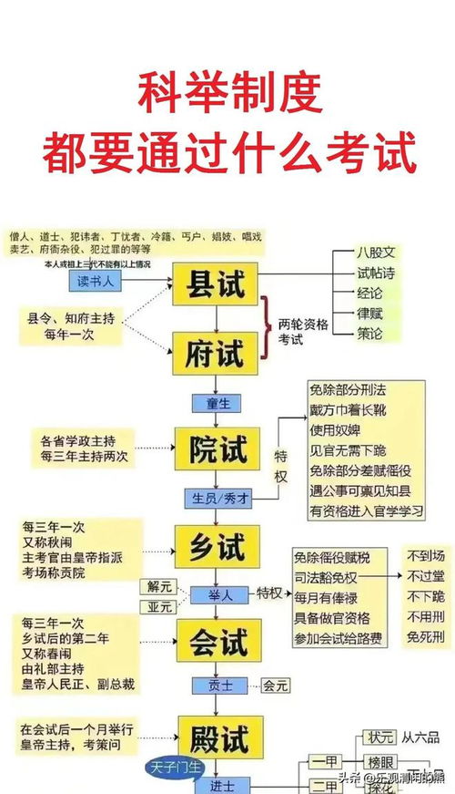 制度僵化与改革力度欠缺之关联