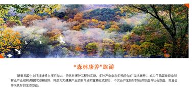 第三章：游客的自我感动表演奥斯卡级别