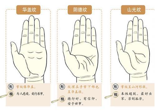 一、 掌纹学：历史渊源与理论基础