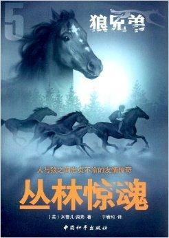 一、 研究背景及情境设定