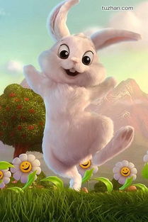 改个名字改个命