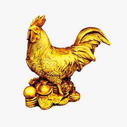 一、 惯与“金鸡独立”的那些事儿