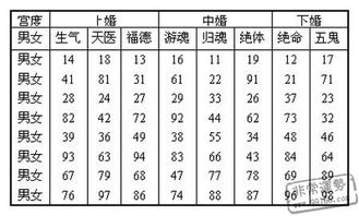 感情运势解析：探寻真爱与幸福