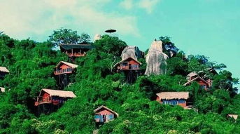 家里有鸟巢风水如何？哪种风水石能最旺家运势？