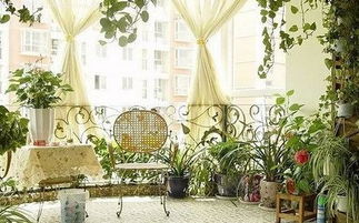 （一） 假植物的摆放：虚假生机对真实运势的侵蚀