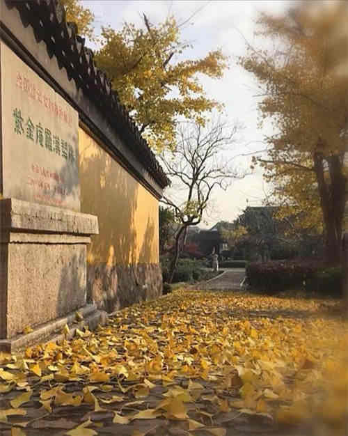 ：云门古刹的历史坐标与文化意蕴