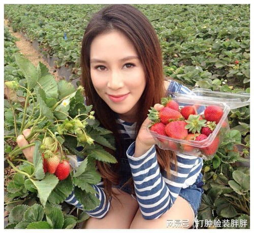 慈善事业与“善有余报”：社会形象构建