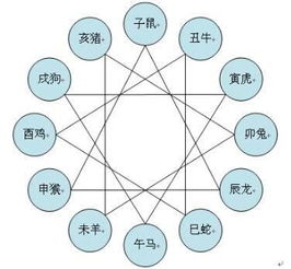十二生肖中，属相相刑是什么意思？