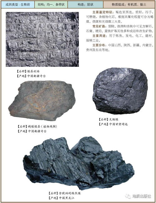 沉积岩的命名实例
