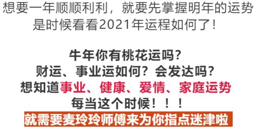 领导型个体之策略及配饰提议