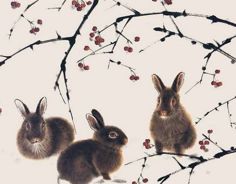 属兔今日财运走势中，偏财运和发财方向具体是怎样的？