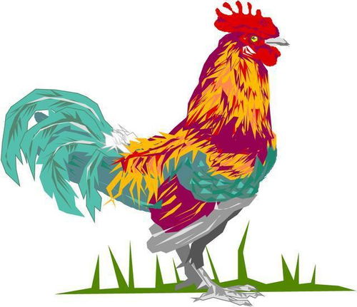 属鸡宝宝取名梓晨缺火，有没有适合的鸡宝宝男孩名字推荐？