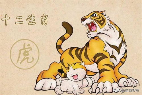 属虎女：果断坚毅、富有领导力