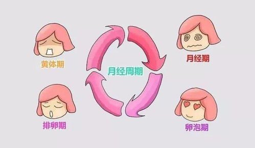 序章：乱七八糟的开场白
