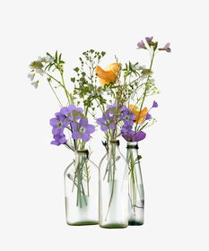 花瓶选不对，好运全白费！