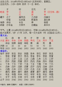 辛酉辛卯甲申己巳八字男，公务员考试一考就上的八字特点是什么？