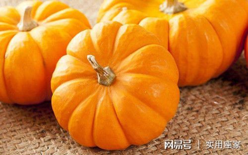 1）家居幸福舒适（仅摘叶）