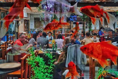 四、 美食速递（吃货与胃病患者共存）