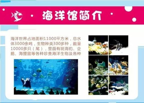 我的两次踩坑经历：血泪教训
