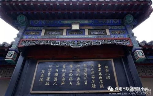 综合分析与反思