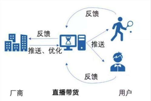 1. 明确定位并强化核心竞争力