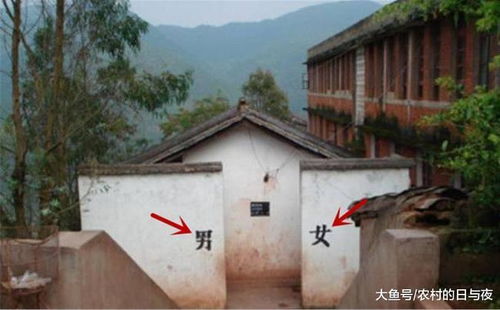 厝座风水问题：化粪池屋后对住宅风水有影响吗？