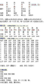 活力影院生辰八字书籍哪里可以买到？