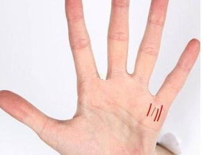 6．食指下方星形纹路对创新精神及冒险倾向的指示