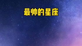 处女座：上进支持型