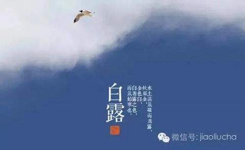 “白露初降”的天象影响：阴阳调和的重要性